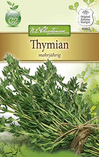 Chrestensen Thymian 'mehrjährig'
