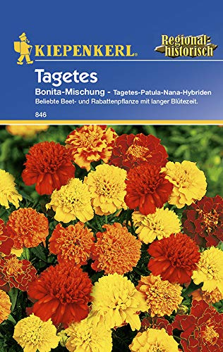 Kiepenkerl Tagetes Bonita Mischung