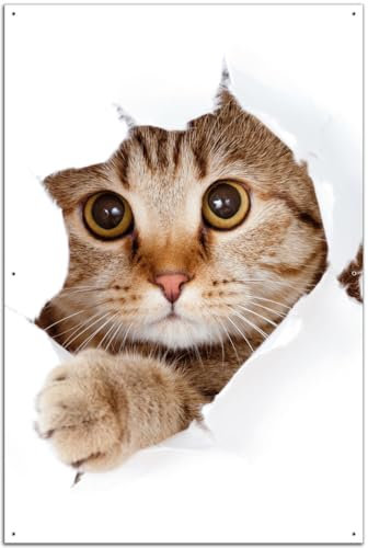 Wallario Outdoor-Poster für Garten oder Balkon Katze mit Blick nach vorn, Motivbanner Größe: ca. 60 x 90 cm, Outdoor-Bild
