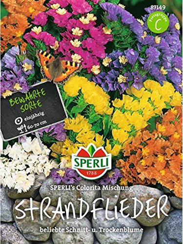 Strandflieder Sperling´s Colorita Mischung