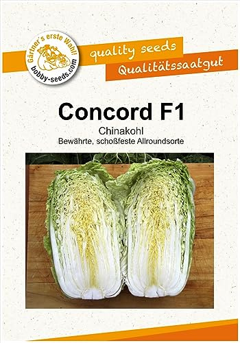 Kohlsamen Concord F1 Chinakohl Portion
