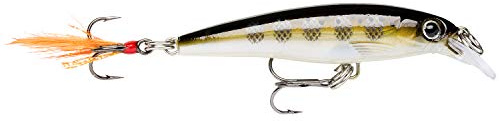 Rapala - X-Rap Angelköder - Angelzubehör mit 3D-Profil - Süßwasser Spinnköder - Schwanzfedern für zusätzliche Reize - Hergestellt in Estland