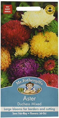 Mr Fothergill's Aster Duchess Mixed