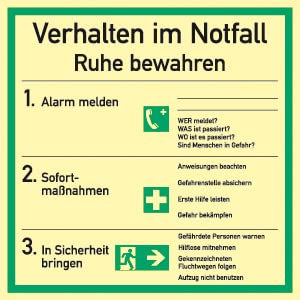 Schild Aushang Verhalten im Notfall | langnachleuchtend | PVC 18 x 18 cm | DIN EN ISO 7010 | Verhalten im Notfall Verhaltensregel Betriebsaushang Hinweisschild Erste Hilfe