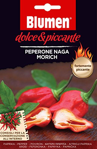 Blumen Semi di PEPERONE NAGA MORICH