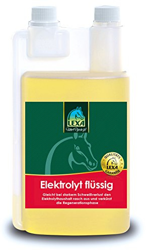 Elektrolyt flüssig 1 l Flasche