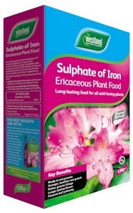 ultimatesalestore Prevents Leaf Yellowing Westland Sulphate of iron Soil Conditioner and feed 1.5kg