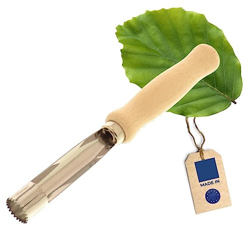 Hofmeister Holzwaren® Descorazonador de manzanas, ideal para manzanas, peras y frutas pomáceas, pieza metálica de acero inoxidable 16 cm | descorazonador de manzanas 16.5x2x2cm