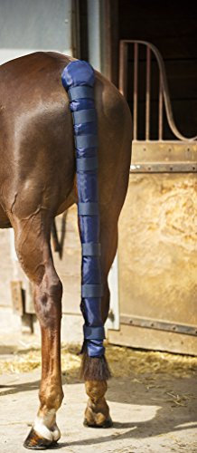 Symantec Doudoune Vollschwanzschutz, Navy, Nicht zutreffend