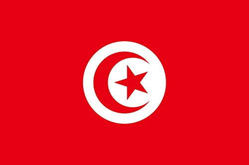 magFlags Drapeau XXXS Tunisie | drapeau paysage | 0.135m² | 30x45cm