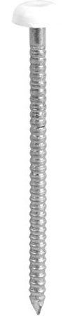 TIMCO PN65W Polymer geköpft Nagel - Weiß
