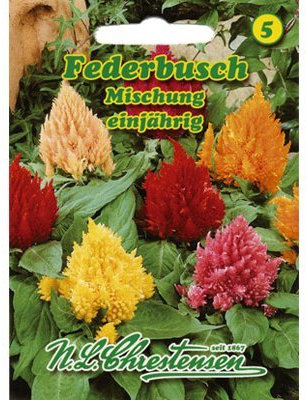 Federbusch Mischung (Portion)