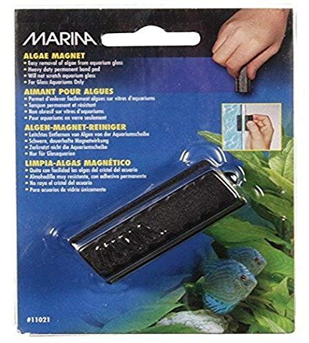 Marina Algenmagnet Reiniger, klein, 1 Stück (1er Pack)