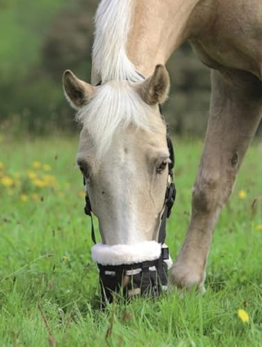 Shires Deluxe pilkorg för hästar, av nylon, 495NF, svart, liten ponny