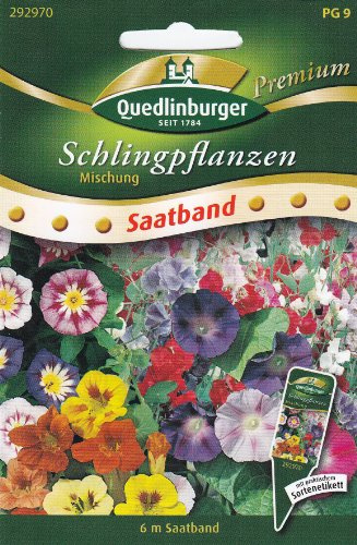 SB Schlingpflanzen, Mischung