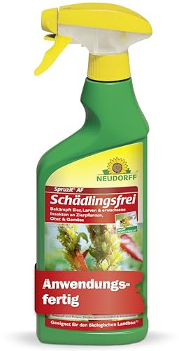 Neudorff Spruzit AF Schädlingsfrei – Bekämpft Schädlinge wie Buchsbaumzünsler, Blattläuse, Thripse an Zierpflanzen, Gemüse, Obst und Kräutern, 500 ml