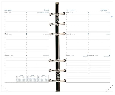 Quo Vadis - Kalendereinlagen – 2025 – 2026 – Timer 21 horizontal – Wochenkalender horizontal – Französisch – 16 Monate September bis Dezember – 15 x 21 cm