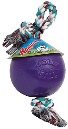 Jolly Pets Romp-n-Roll Rope and Ball Dog Toy, 6 Inches/Medium, Purple