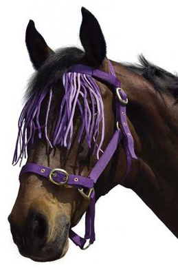 William Hunter Equestrian browband Type Fly Fringe - Purple - Pony