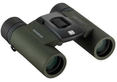 Olympus 8x25 WP II Fernglass (Wasserdicht, Beschlagsfrei, Staubschutz, 10-fache Vergrößerung), geeignet für Outdoor-Einsätze, grün