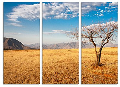 Paul Sinus Art 130x90cm – Keilrahmenbild Landschaft Afrika blauer Himmel 3teiliges Wandbild auf Leinwand und Keilrahmen - Fotobild Kunstdruck Artprint