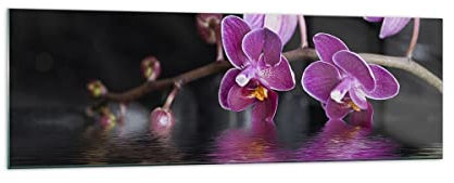 Panorama Bilder auf Glas 160x50cm Glasbild Asien exotisch orchidee blume Groß XXL Wanddeko Bild im Glas Schlafzimmer Küche Wandbilder Dekoration Wohnzimmer Modern Wand Kunstdruck Art GAB160x50-2312