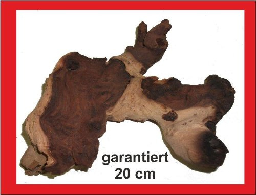 SAHAWA® Mopani- Wurzel, garantiert 20cm, Aquarium, Terrarium