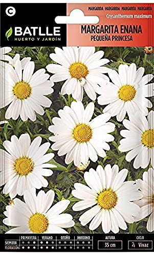 Semillas Batlle Margherita Nano Piccola Principessa