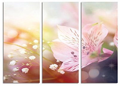 Paul Sinus Art 130x90cm – Keilrahmenbild zarte Blumen rosa lila 3teiliges Wandbild auf Leinwand und Keilrahmen - Fotobild Kunstdruck Artprint