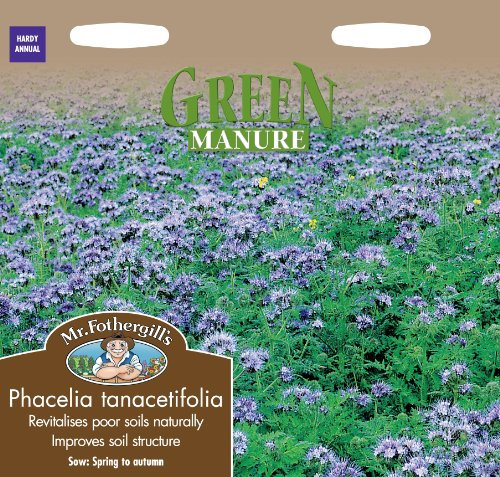 Mr Fothergill's Green Manure Phacelia tanacetifolia