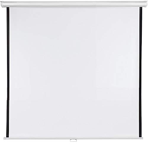 FRANKEN Rolloleinwand X-tra!Line, Projektionsfläche 180 x 180 cm, Projektionsleinwand aus beschichtetem Gewebetuch, Stahlblechgehäuse weiß, LWR21818