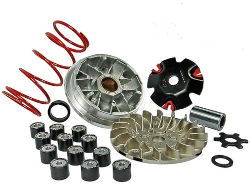 MALOSSI Variateur MHR Multivar pour Yamaha Aerox ( | Moteurs Minarelli, diamètre 99,5 millimètres; galets 16 x 13, 3,9 ou 4,7 grammes; compatible avec MBK Booster 50 deux temps