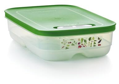 Tupperware Fridgesmart - Contenitore Medio, Trasparente con Guarnizione Verde