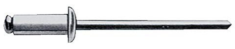Gesipa Blindniete Stahl 5 x 8 Flachrundkopf mm, 500 Stück, (1454613) Blindniettechnik