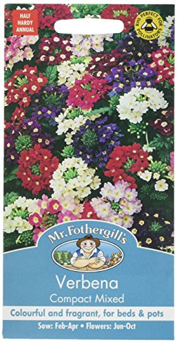 Mr Fothergill's Verbena Compact Mixed