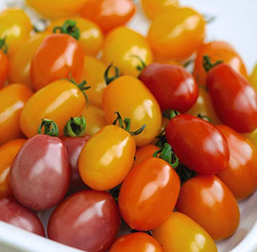 Thompson & Morgan - Vegetables - Tomato Rainbow Blend F1 Hybrid - 5 Seed