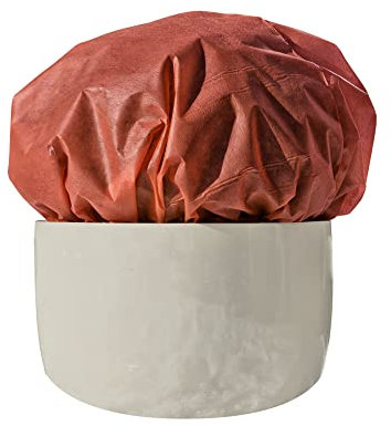 Windhager Velo invernale decorativo, protezione dal freddo, protezione dal gelo per le piante, protezione invernale decorativa, vello di copertura, 10 x 1,6 m, rosso