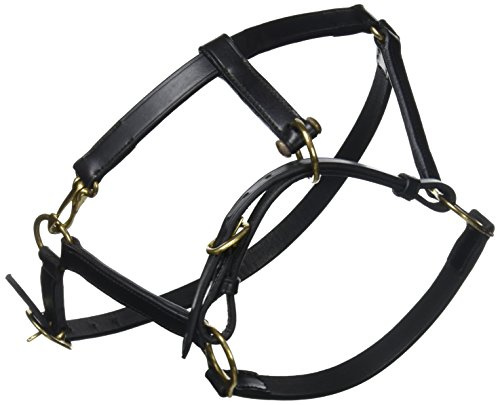Fohlenlederhalfter, schwarz F