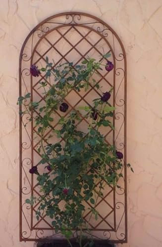 Gabella Rankgitter Spalier Wand Rankhilfe Sichtschutz Metall Provence XXL ROST 120/240cm