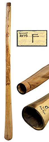 Didgeridoo Eukalyptus in Ton F, 150-160 cm