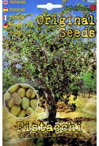 Vivai Le Georgiche Pistacchi - Pistacia Vera (Semente)