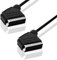 BestPlug 50 cm Audio câble vidéo, péritel mâle vers péritel mâle, Plein belegt, Noir