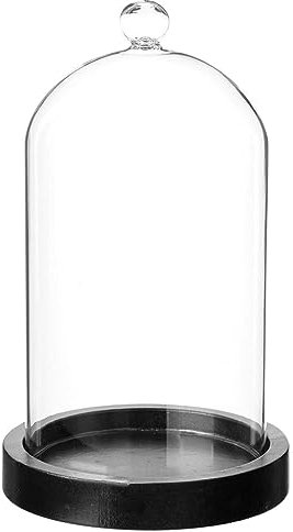 Atmosphera - Cloche Verre et Bois - Transparent - H19 cm