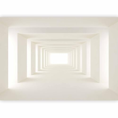 Fotomurale murando Carta da parati 350x256 cm TNT Murale alla moda Decorazione da Muro XXL Poster Gigante Design Carta per pareti Tunnel 3D a-A-0124-a-b