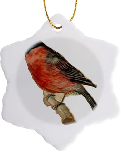 3dRose Vintage Perched Red Robin Bird Illustration 3 inch Snowflake Porcelain Ornament