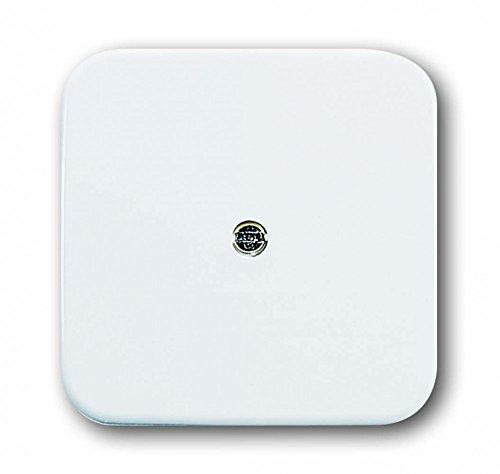 Busch-Jaeger 2536-214 Zentralscheibe