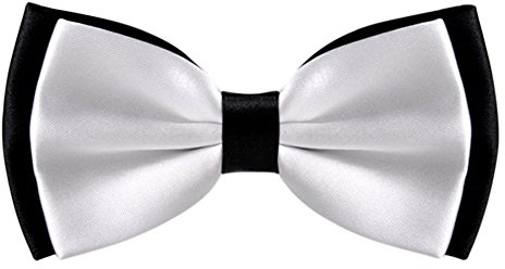 Alizeal Mens Adjustable Black Bottoms Two Color Wedding Party Pre Tied Bow Ties, White