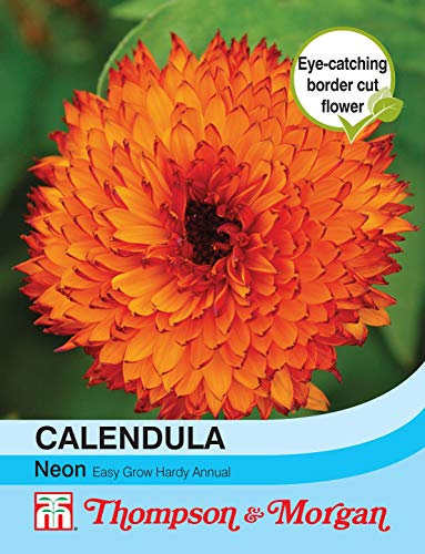 Thompson & Morgan - Flowers - Calendula Neon - 100 Seed