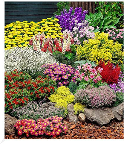 BALDUR Garten Großer Staudengarten, 12 Pflanzen, begeistert jedes Jahr mit seiner Blütenfülle, buntes Staudenbeet, winterhart, mehrjährig, bienenfreundlich, perfekt für Gartenbeete & Naturgärten