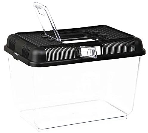 Trixie 76302 Transport- und Fütterungsbox, 31 × 21 × 21 cm